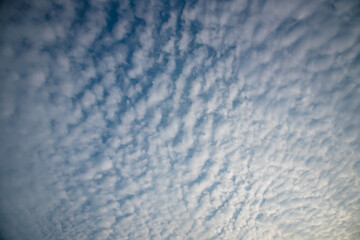 Sky Cirrocumulus cloud on a clear day 