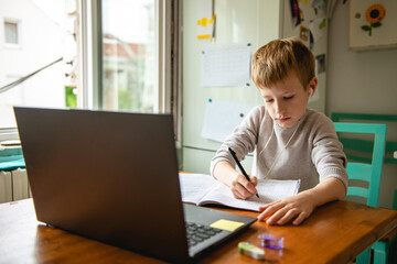 Fototapeta na wymiar Young boy learning from home, online schooling