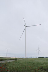 Fototapeta na wymiar wind farms in the field