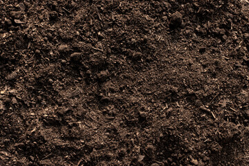Soil texture background, Fertile soil for planting.