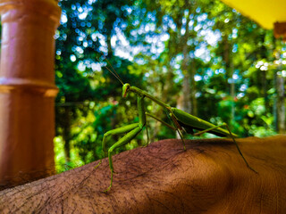 Thanakolapeththa, Sri Lanka
