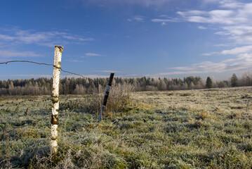 First frost on the field