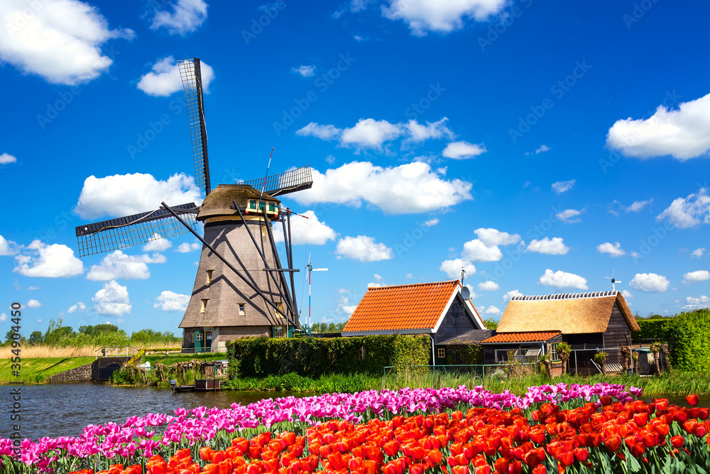 Wall mural colorful spring landscape in netherlands, europe. famous windmills in kinderdijk village with a tuli