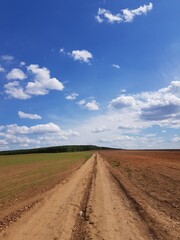 Fototapeta na wymiar Country road under blue sky