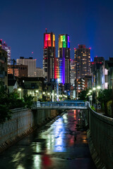 東京都庁 夜景 七色のライトアップ 神田川、花見橋から（中野区）