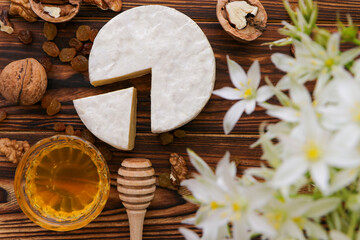 
Camembert cheese on a spring background