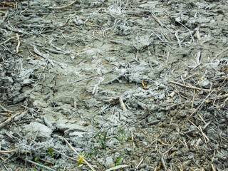 Mud Dirt Background Wallpaper Pattern