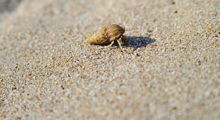 Abstract sand texture