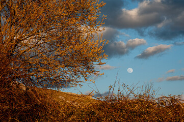 La luna ha sempre un suo perché