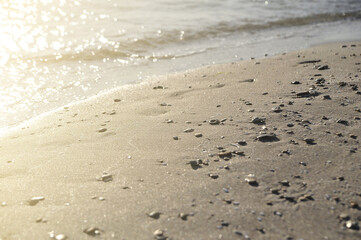 Sunset beach. Beautiful view of Crimea.