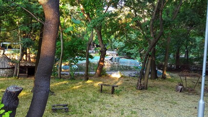 couple in the park