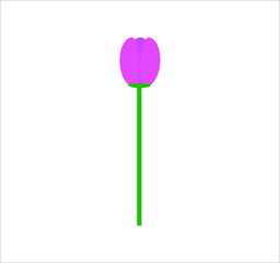 tulip flower vector. illustration for web and mobile design.