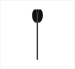 tulip flower vector. illustration for web and mobile design.