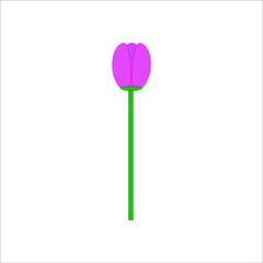 tulip flower vector. illustration for web and mobile design.