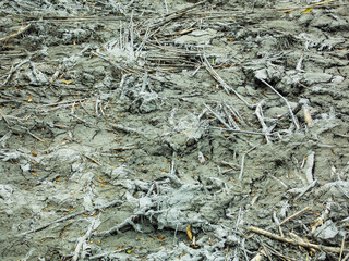 Mud Dirt Background Wallpaper Pattern