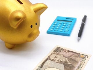 お金を見つめる金の豚