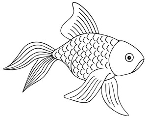 Gold fish. Fan tail. Vector illustration. Outline on a white isolated background. The inhabitant of the pond and aquarium. Hand drawing style. Sketch. Pet Coloring book for children and adults. 