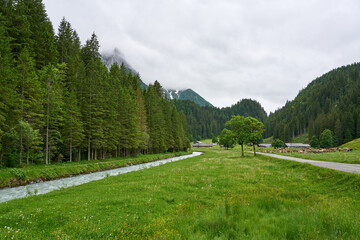 Landscape of Rychenbach river, meadow and green nature of Swiss Alps on a rainy day. Taken in Alpine valley Reichenbachtal, Oberhasli, canton of Berne, Switzerland.