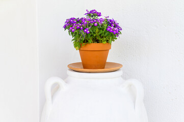 Vaso con fiori di colore viola posizionati su piedistallo di colore bianco.