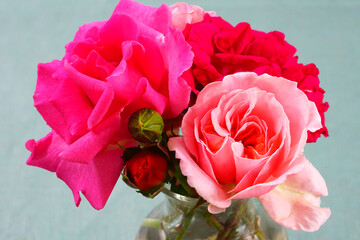 Small bouquets of pink and orange rose flowers from the garden
