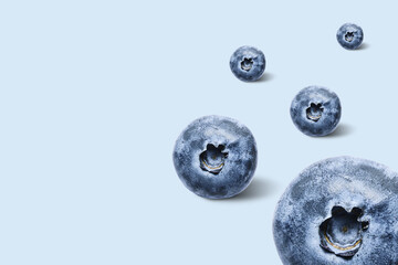 Blueberries on blue background. Minimal berry fruit composition