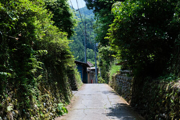 山の集落。日本の春の里山歩き、山梨県高柄山。Trekking at mountain area, Yamanashi Japan. 