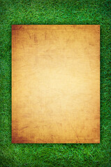 old paper on grass background