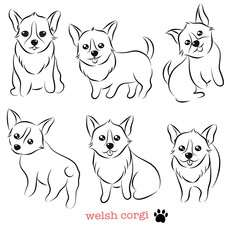 Cartoon doodle Welsh Corgi dog vector line illustration set.