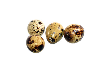 Obraz premium egg isolated on white background