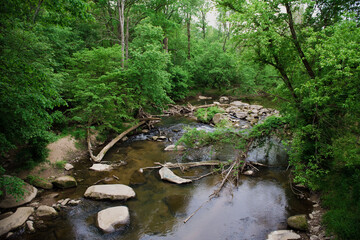 Shallow creek in the woods.