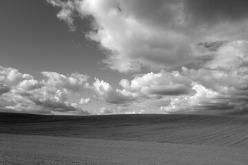 Cultivated agricultural field and sky with clouds. Black and white