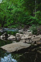 Shallow creek flowing over rocks in the woods - moody and bold