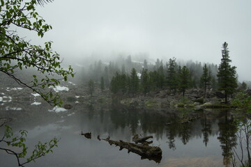 Summer morning fog on the lake, a log in the water, a picturesque island. Lake Artists, Ergaki, Russia © Alena