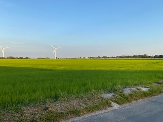 Fototapeta premium Je fais des photos disponibles prises avant et pendant un coucher de soleil pendant une petite promenade. petites sorties très agréables, avec beaucoup de beaux paysages. avec l’été, je pouvais refair