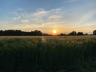 Je fais des photos disponibles prises avant et pendant un coucher de soleil pendant une petite promenade. petites sorties très agréables, avec beaucoup de beaux paysages. avec l’été, je pouvais refair