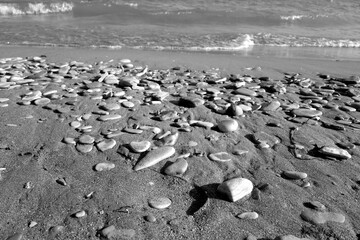 Small stones sand and sea wave in black and white.