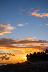 Silhouettes of walking people in beautiful sunset on the beach with palm trees. Magical golden sunset sky with clouds