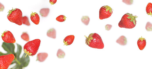 Strawberries and monstera leaf on white background.