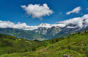 Fototapeta na wymiar Swiss Alps landscape with meadow, snowy mountains and green nature. Taken in Grindelwald mountains, Mannlichen - Alpiglen Trail, Switzerland.