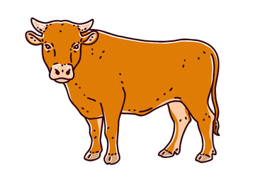 Hanwoo. It is a breed of small cattle native to Korea. Colored vector illustration.