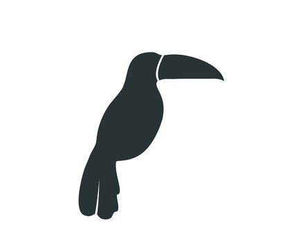 Toucan bird icon. Vector toucan icon. Toucan silhouette. Stock Vector |  Adobe Stock