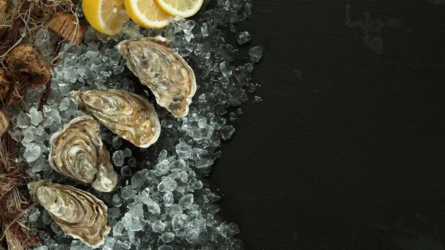 Super Slow Motion Shot of Falling Fresh Oysters into Crushed Ice at 1000 fps.