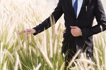 Businessman wearing suit and tie standing/walking in the farm field while touching the tall grass with his hand. Closeup crop.