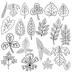Vector set of leaves of spring flowers. Collection of black and white leaves for design and decoration, Wallpaper, invitation cards, gift paper, and more. Floral elements. Hand-drawn. Isolated 