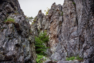 Bruchhauser Steine hikes Sauerland