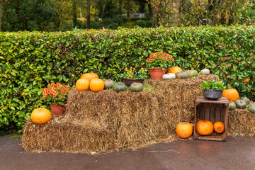 Pumpkins in the field on a haystack, autumn view