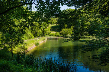 Arlesheim, Ermitage, Weiher, Seerose, See, Holzsteg,  Wasserpflanzen, Wasserlilie, Dorf, Baselland, Wald, Waldweg, Wanderweg, Spazierweg, Ausflugsort, Kraftort, Sommer, Schweiz