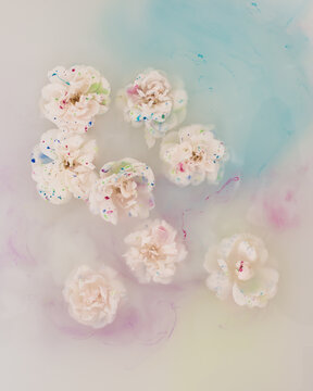 White roses floating in water and watercolor paint