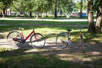 Fototapeta premium bicycles in the park