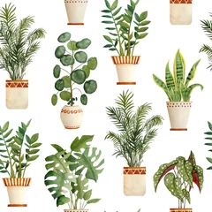 Acrylic prints Plants in pots Watercolor hand drawn seamless pattern illustration with houseplants in brown clay terra cotta pots. Potted snake plant sanseviera, monstera, pilea money plant, Zamioculcas zz tree. Flowerpots